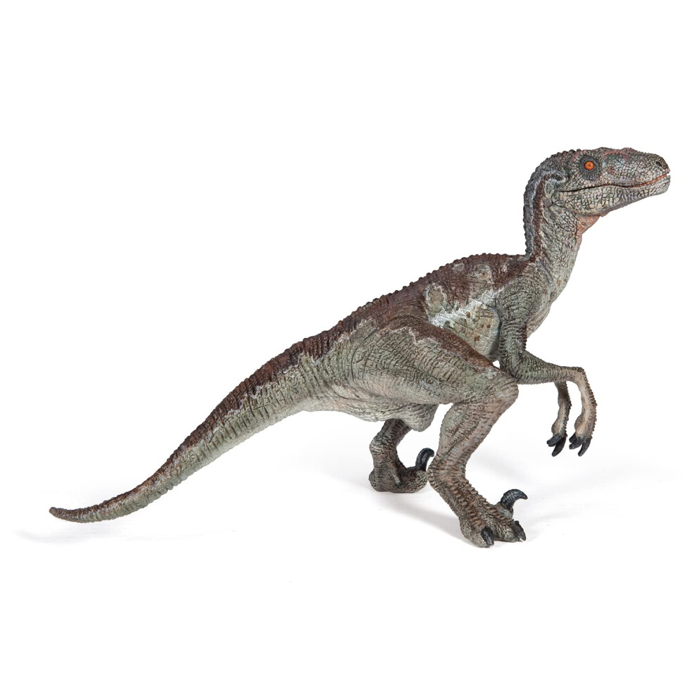 Papo The Dinosaur Figure  Velociraptor