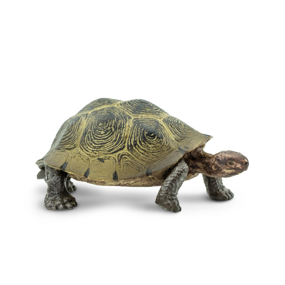 Safari Ltd. Desert Tortoise Figurine - Lifelike 3.25"" Wildlife Figure