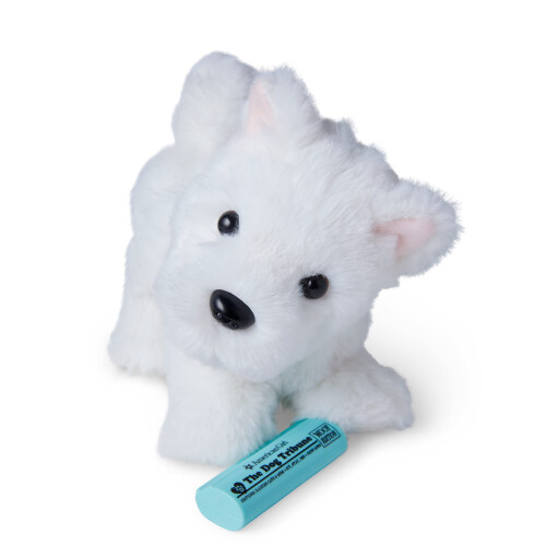 American Girl Perro Coconut Chip blanco para muñecas de 18 pulgadas más accesorios 2