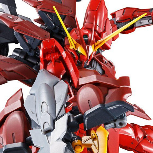 Kit modello MG 1/100 RGX-00 Testament Gundam 1
