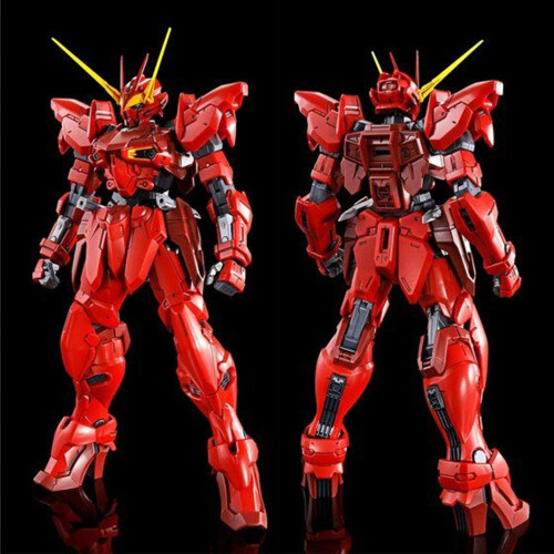 Kit modello MG 1/100 RGX-00 Testament Gundam 2