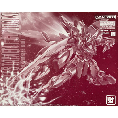 Kit modello MG 1/100 RGX-00 Testament Gundam