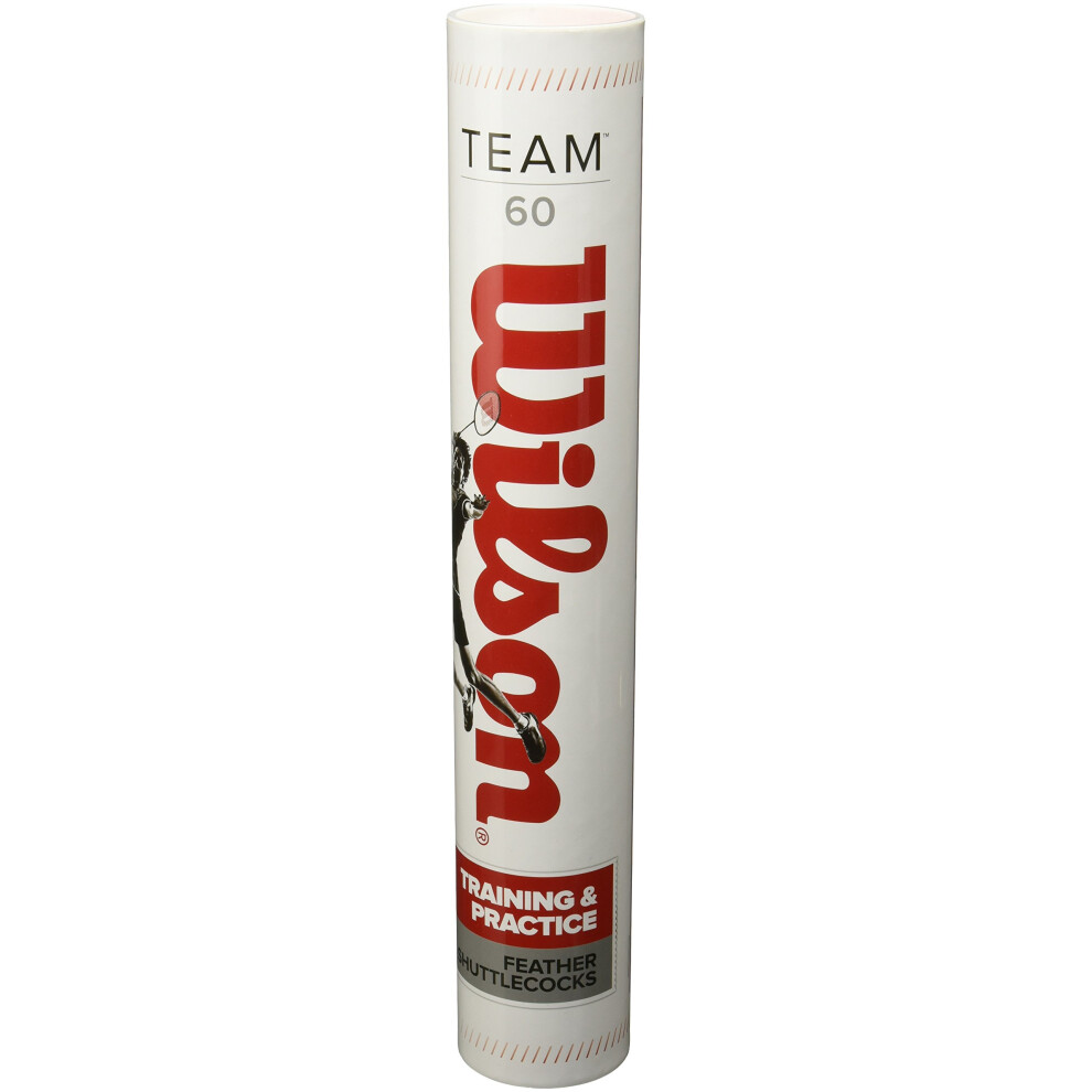 Wilson Team 60 Shuttlecocks - 12 Pack Tube