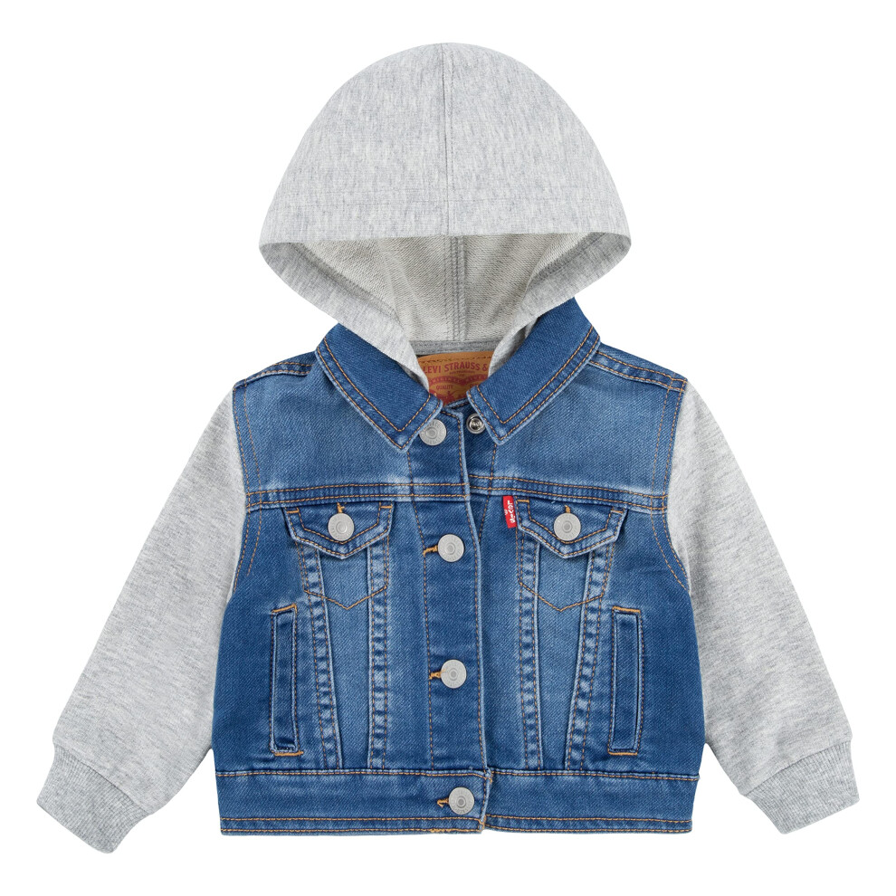 Levi's Baby Boys Hoodie  Vintage Waters  24M