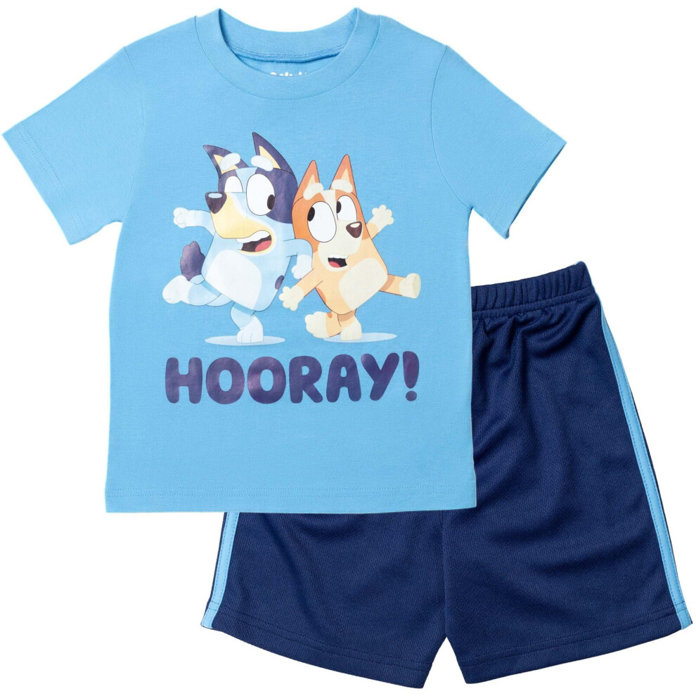 Bluey Bingo Big Boys T-Shirt and Mesh Shorts Outfit Set 10-12