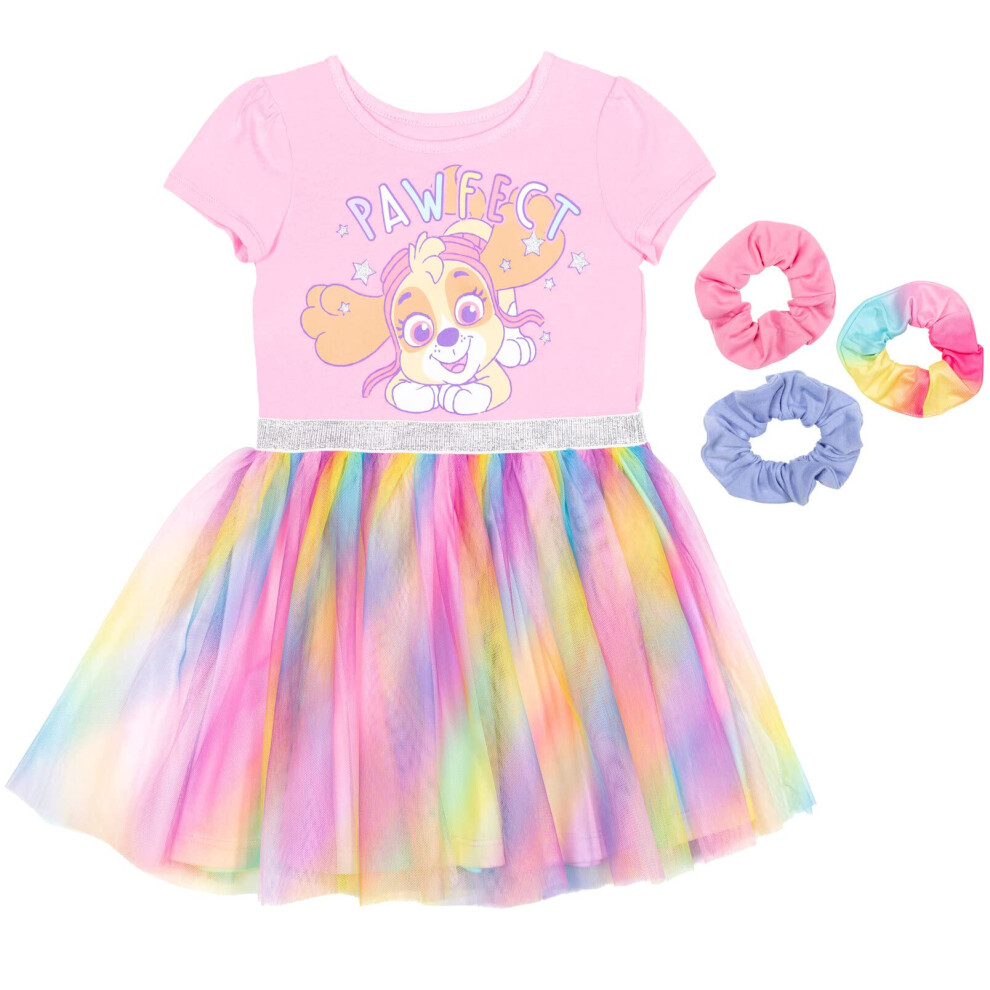 Paw Patrol Skye Toddler Girls Tulle Dress and Scrunchies Pink 2T