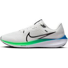 Nike Pegasus 40 Men's Road Running Shoes (DV3853-006 Platinum Tint/Wh