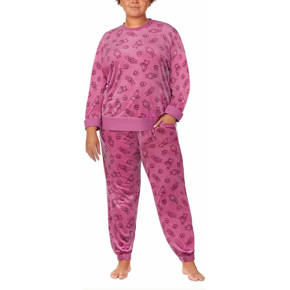 Disney Womens 2 Piece Silky Stretch Fleece Pajama Set (US  Alpha  XX-L