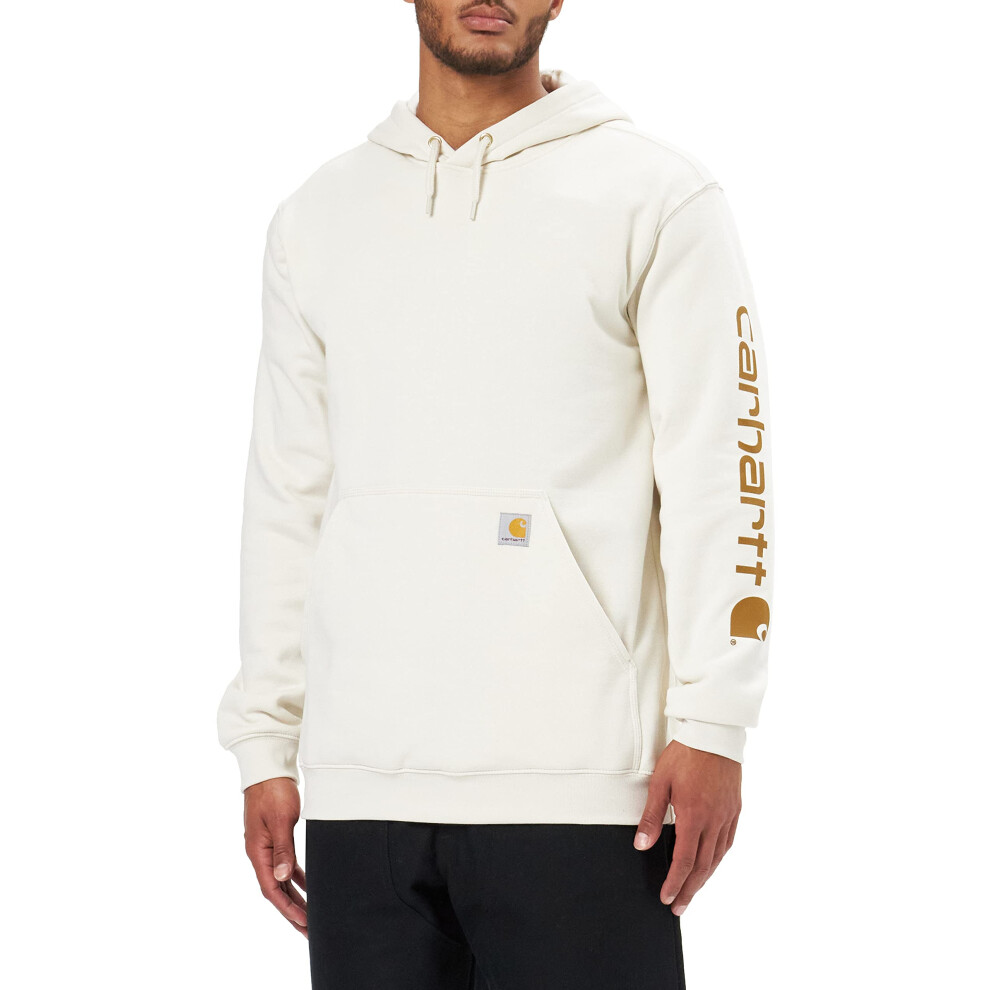 Carhartt mens Loose Fit Midweight Logo Sleeve Graphic Hooded Sweatshir