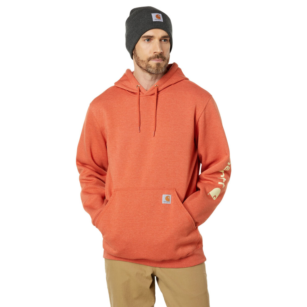 Carhartt Men's Loose Fit Midweight Logo Sleeve Graphic Sweatshirt Clos