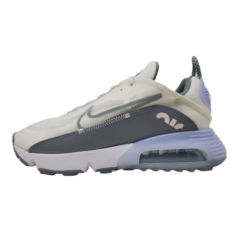 Nike Women's Air Max 2090  Sail/Cool Grey-Ghost  8.5 M US