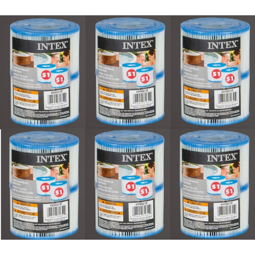 Intex Intex Tipo S1 PURESPA 29001E FASIO 1