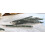 Faber-Castell Faber-Castell TK9400 2mm 3B Clutch Pencil 5