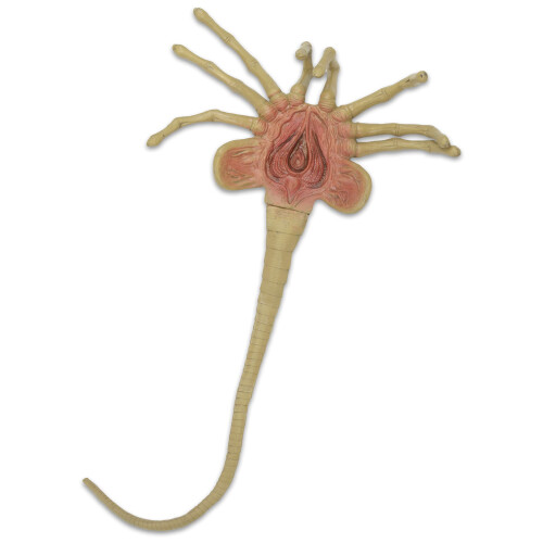 NECA NECA Alien Foam Prop Replica Life-Size Facehugger - Plush Soft Toy 1