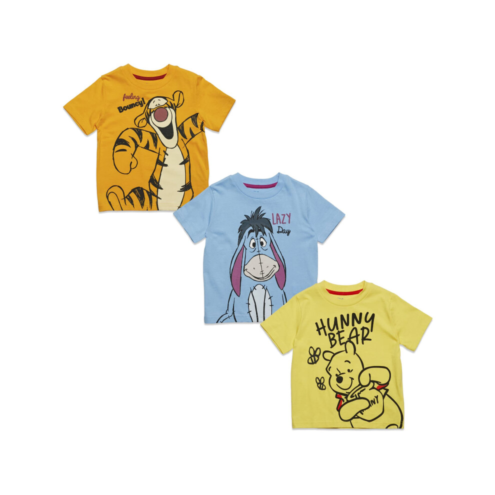 Disney Winnie The Pooh Tigger Eeyore Little Boys 3 Pack Graphic T-Shir