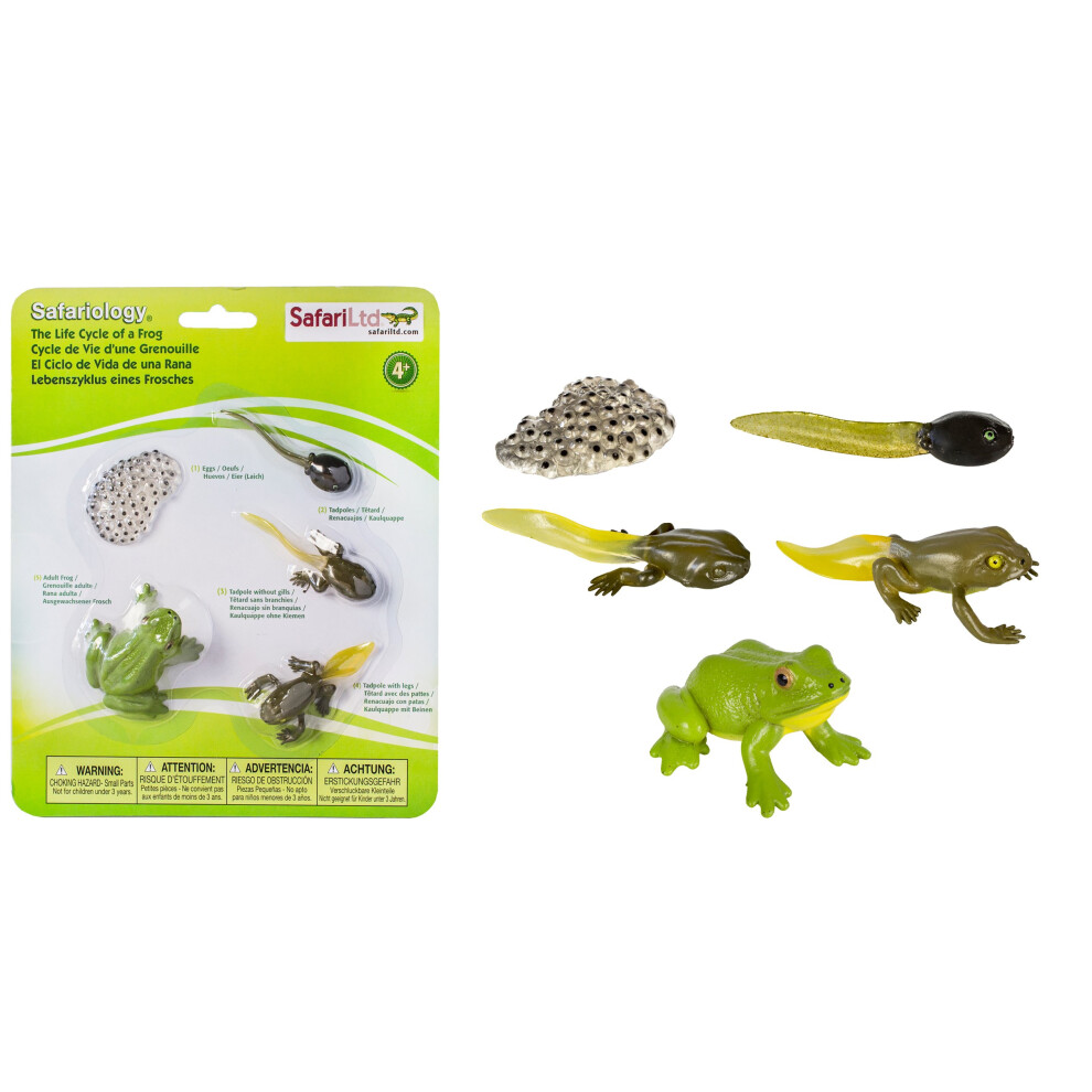 Safari Ltd. Life Cycle of a Frog Figurine Set - Miniature Educational