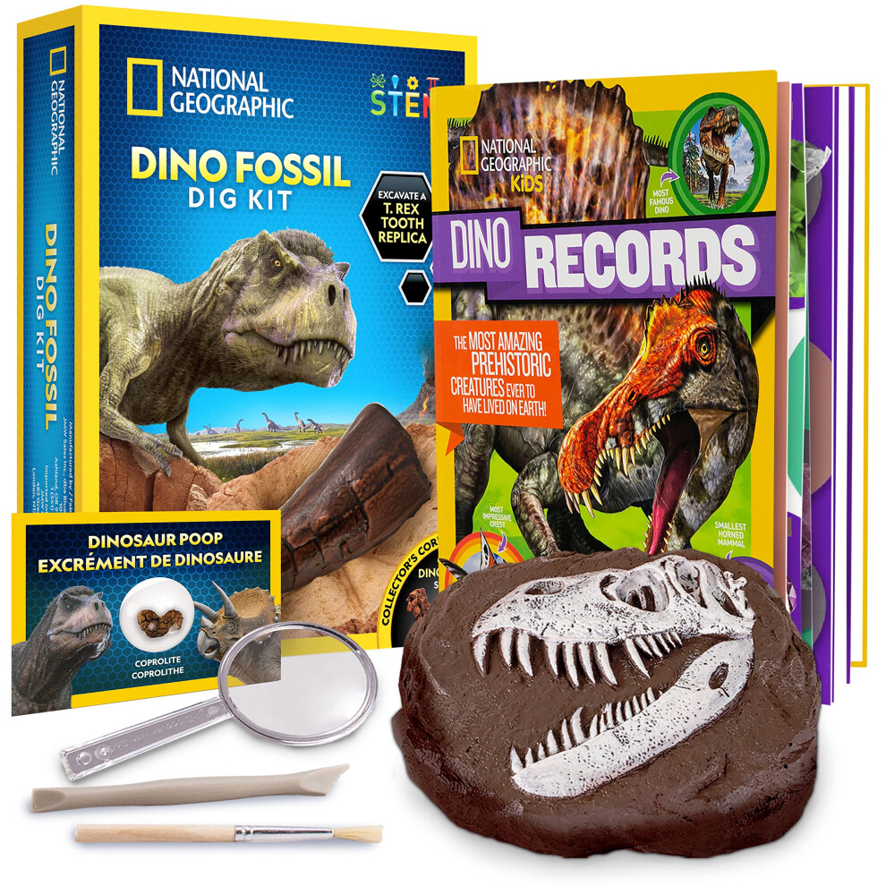 NATIONAL GEOGRAPHIC Dino Fossil Dig Kit & Dinosaur Book for Kids- Exca