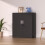 iJINGUR Metal Storage Cabinet with Locking Doors and 2 Adjustable Shel 2