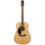 Fender Fender Left-Handed Acoustic Guitar  with 2-Year Warranty  Dreadnought 1