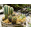SuperMoss 7 59834 21705 3 Μοσχάρι, Περίπου 5 lb Χύμα Περίπτωση, Φυσικό Ξηρό 2
