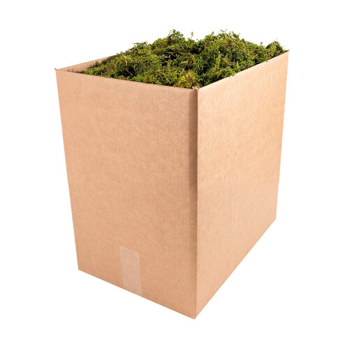 SuperMoss 7 59834 21705 3 Μοσχάρι, Περίπου 5 lb Χύμα Περίπτωση, Φυσικό Ξηρό
