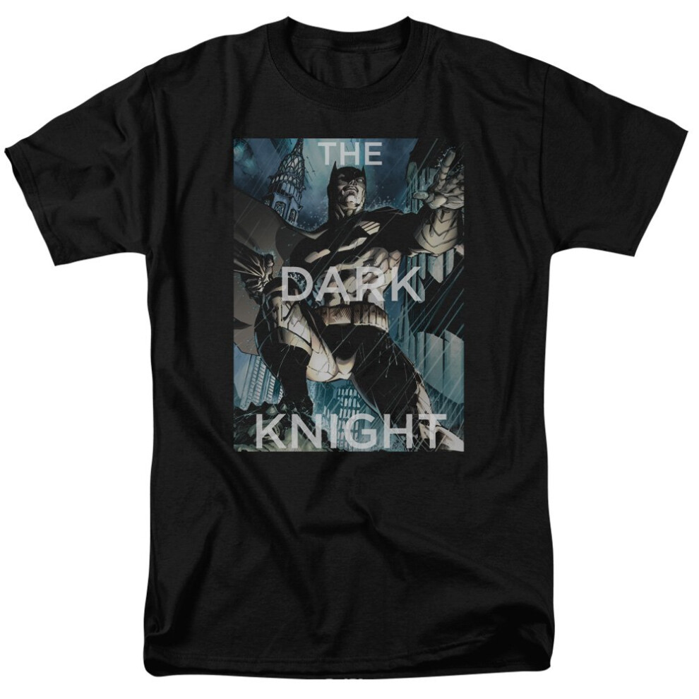 DC Comics Men's Batman Short Sleeve T-Shirt  Storm Black  Large