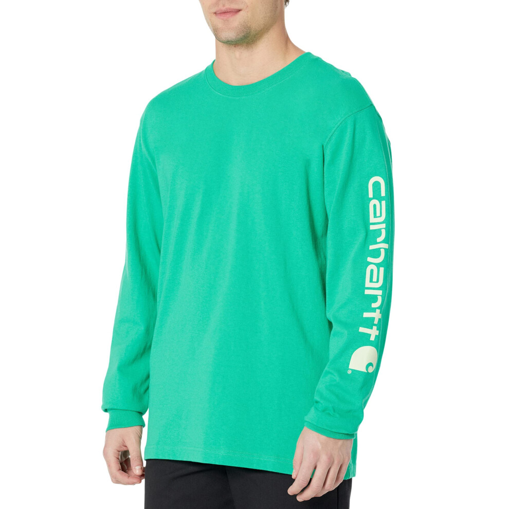 Carhartt Men's Loose Fit Heavyweight Long Logo Sleeve Graphic T-Shirt