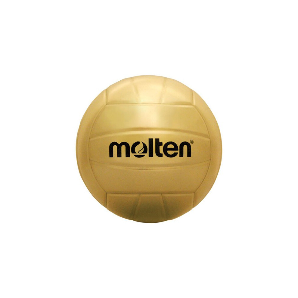 Molten Trophy Volleyball (Gold  Official)