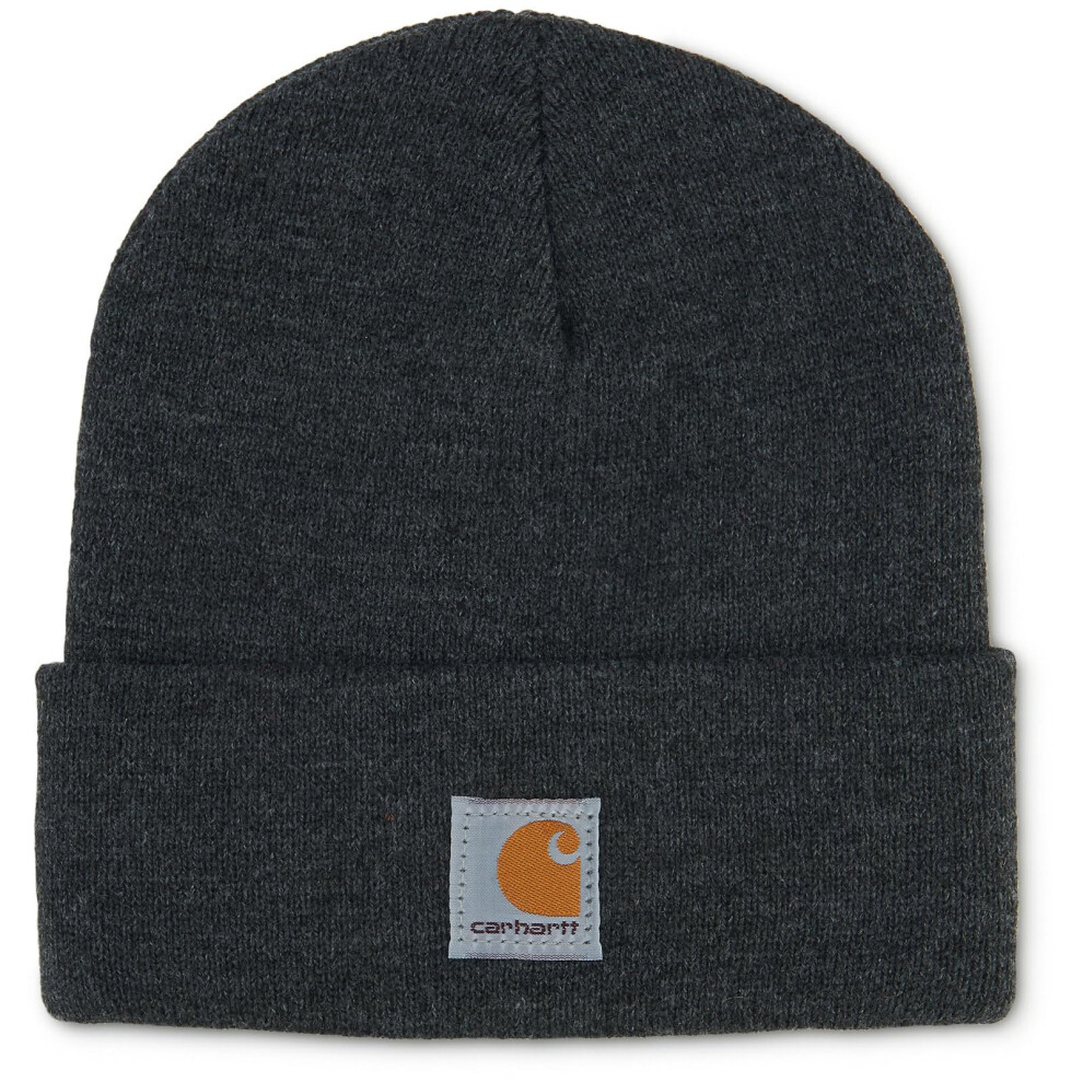 Carhartt unisex child Acrylic Watch Cold Weather Hat  Dark Gray  2-4T