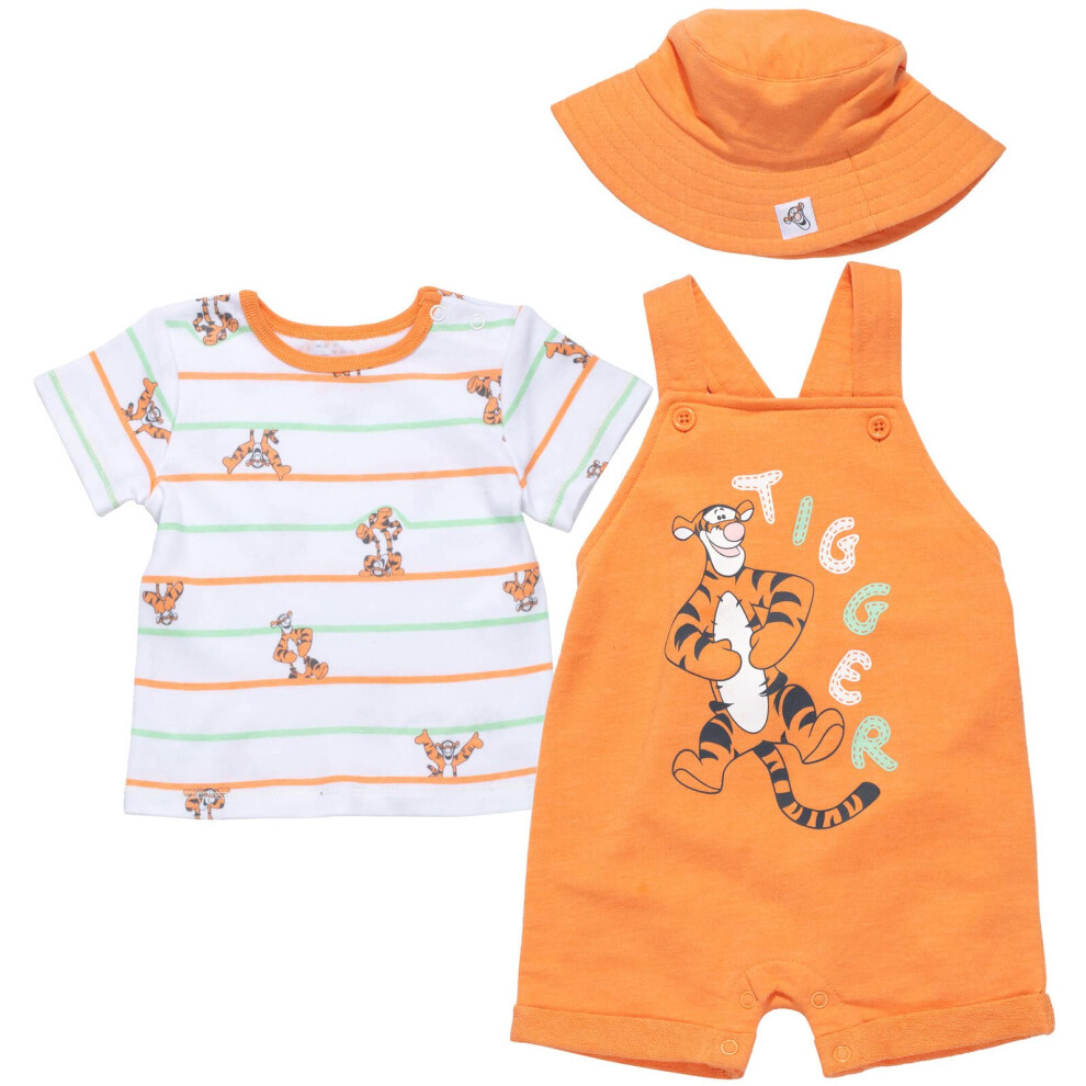 Disney Winnie the Pooh Tigger Baby Boys 3 Piece Set: Overalls T-Shirt