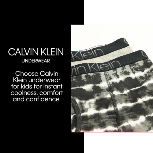 Calvin Klein Calvin Klein Barns Modern Cotton Boxer Brief Underwear 4-Pack, Solid, Liten 2