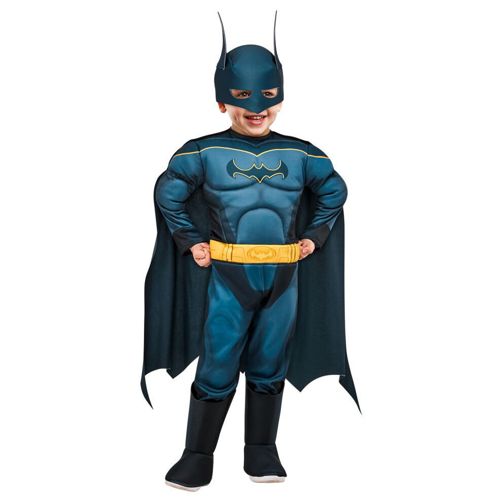 Rubie's Toddler DC League of Super-Pets Child's Costume  Batman  4T