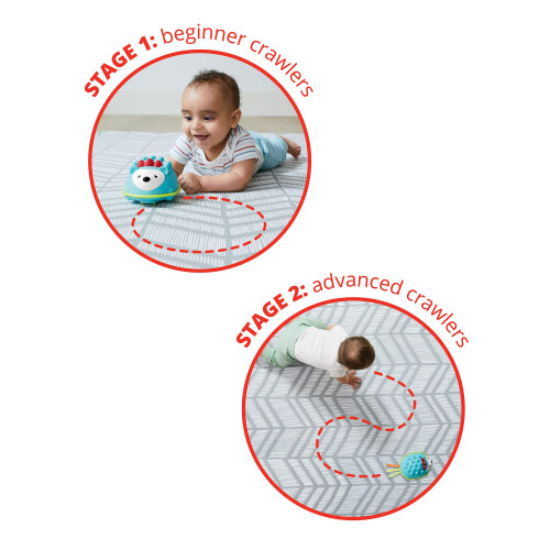 Skip Hop Skip Hop Developmental Learning Crawl Toy  Explore & More  Hedgehog 1
