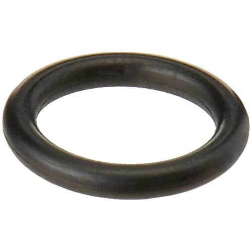 Kärcher Karcher O-Ring 1