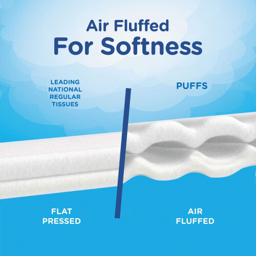 Puffs Facial Tissues 2