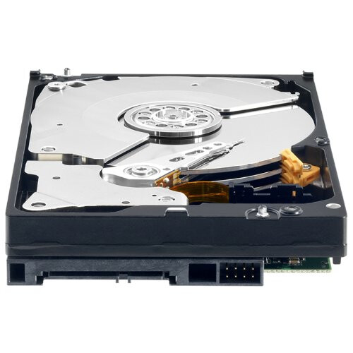 Western Digital 250 GB, 7200 U/min, 64 MB Cache, SATA 3 Gbit/s ? RE4 ? WD2503ABYX 1