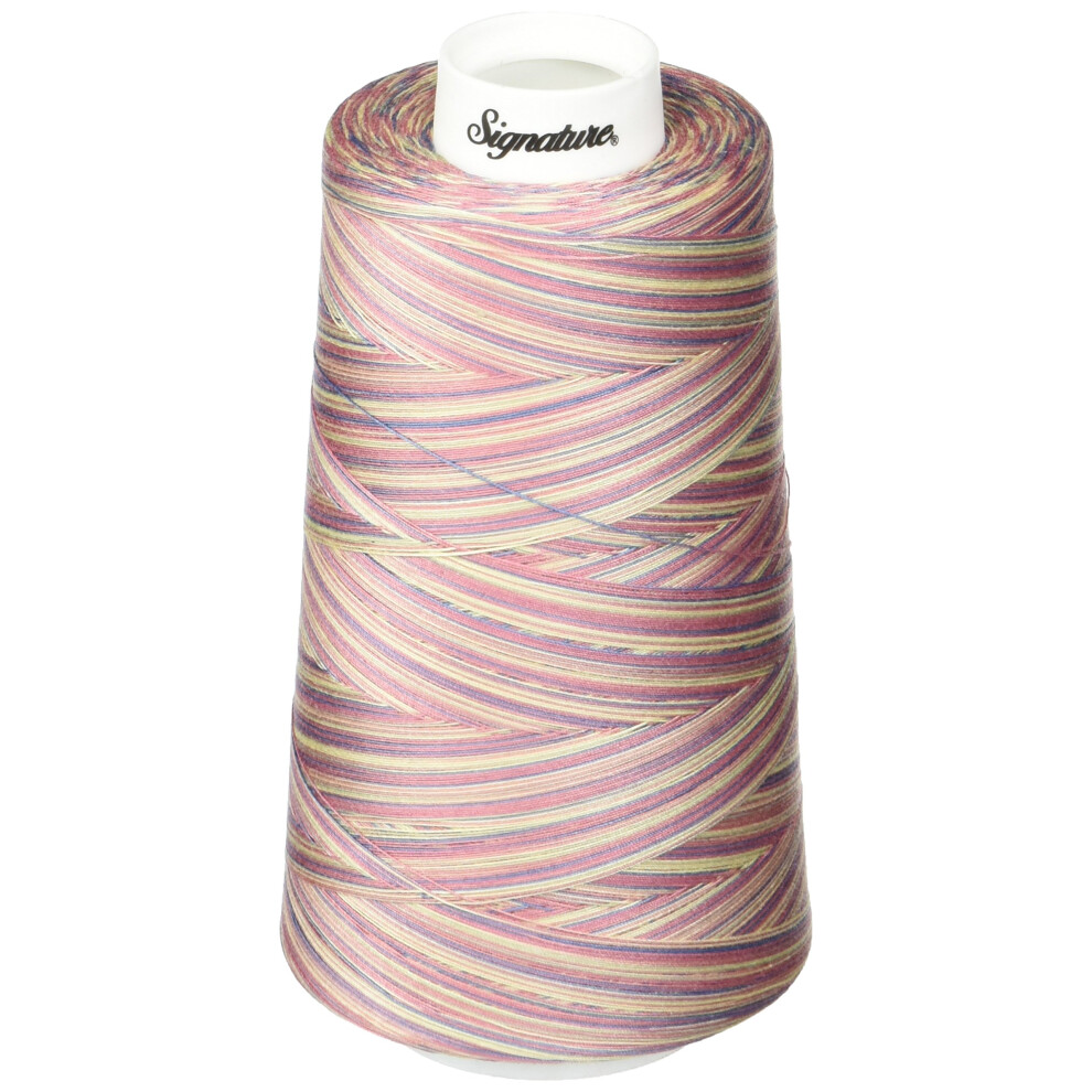 Fil Signature 40Wt/3000 Yd Variegated Victorian-image