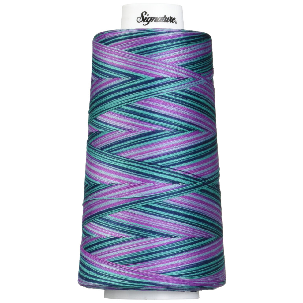 Signature Thread Machine Quilting Thread  3000 yd  Variegated Garden