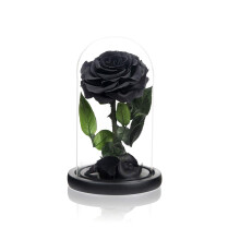 Natroses Mothers Day Flowers Black Roses For Mom Handmade bevarade rosor i glas kupol lngvariga lila rosor riktiga glas ros fr alla hjrtans da