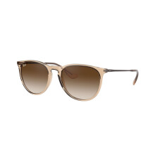 Ray-Ban RB4171 Erika Round Sunglasses Transparent Light Brown/Brown G