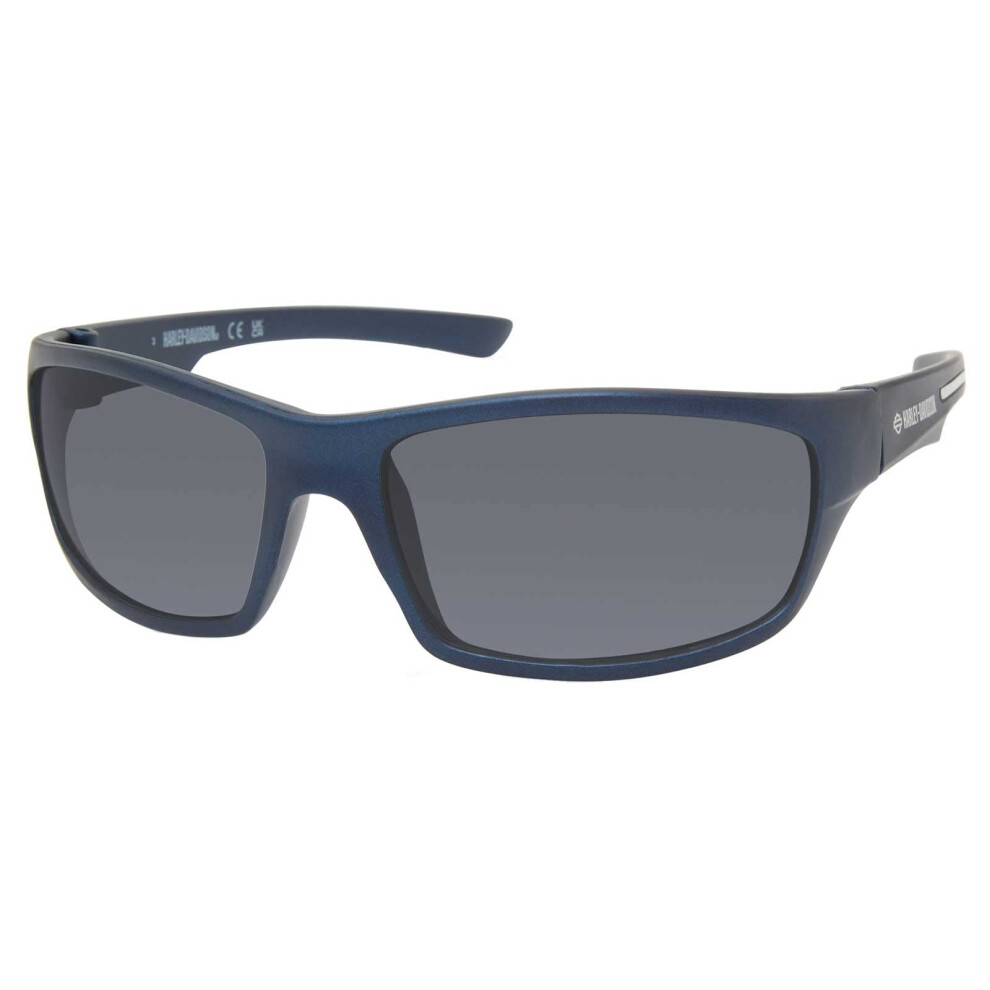 Harley-Davidson Men's Racing Stripe Sunglasses  Matte Blue Frames & Sm