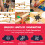 Connecteurs de piste de train - TOY2 - Builder Set Small - 12 pièces - Noir - Enfant 3