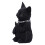 Nemesis Now Cattitude 16.5cm  Black  U5551T1 2