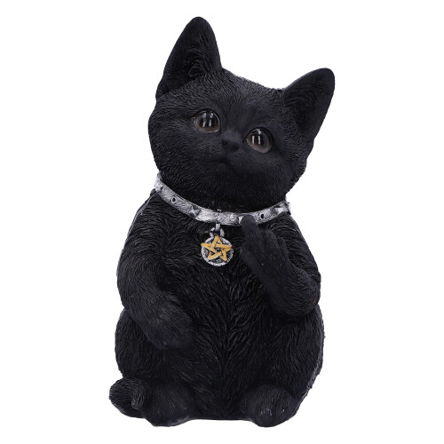 Nemesis Now Cattitude 16.5cm  Black  U5551T1