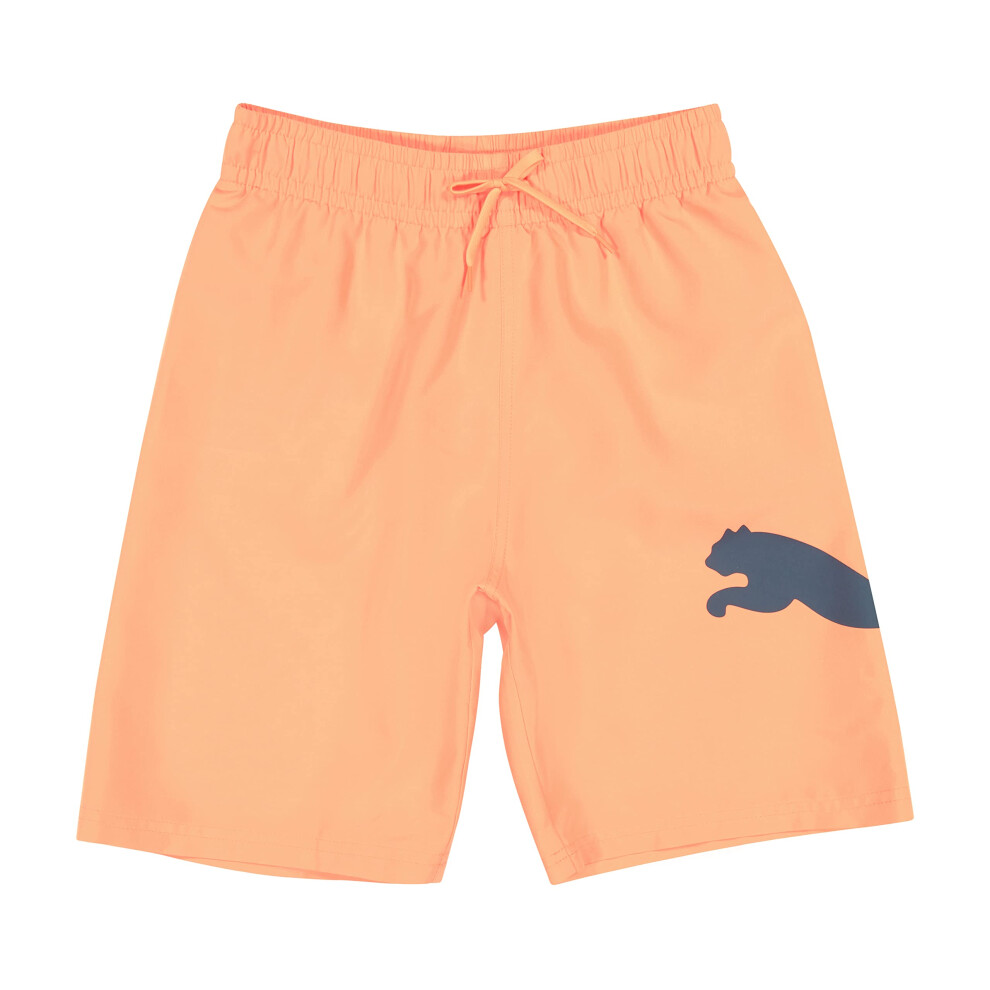 PUMA Boys' Big Cat Swim Trunks  Ultra Orange  Medium