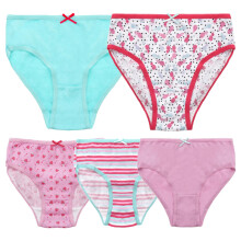 (2-3 Years, Fruits) Girls Underwear Briefs Knickers Fit Hipster Panty