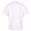 (15-16 Years, White) Kids Girls 2 Pack School Uniform School Shirts 4
