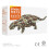 ????st?????    ??t??a de???sa???? PNSO (37 Bart The Pinacosaurus) 5