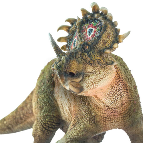 PNSO (40 A-Qi The Sinoceratops)