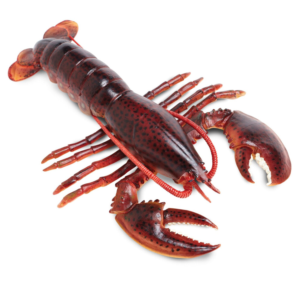 Safari Ltd. Maine Lobster Figurine - Realistic 8"" Crustacean Figure - Educational Toy for Boys  Girls  and Kids Ages 3+